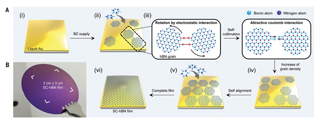 Wafer-Scale hBN Growth
